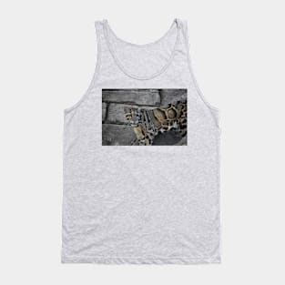 Clouded Leopard Tank Top